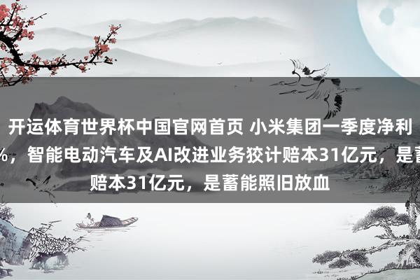 开运体育世界杯中国官网首页 小米集团一季度净利润同比降43%，智能电动汽车及AI改进业务狡计赔本31亿元，是蓄能照旧放血