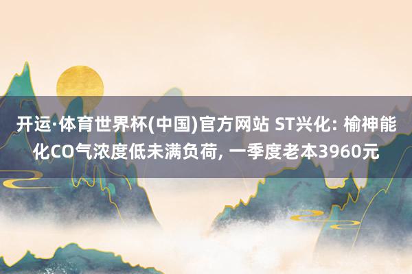 开运·体育世界杯(中国)官方网站 ST兴化: 榆神能化CO气浓度低未满负荷, 一季度老本3960元