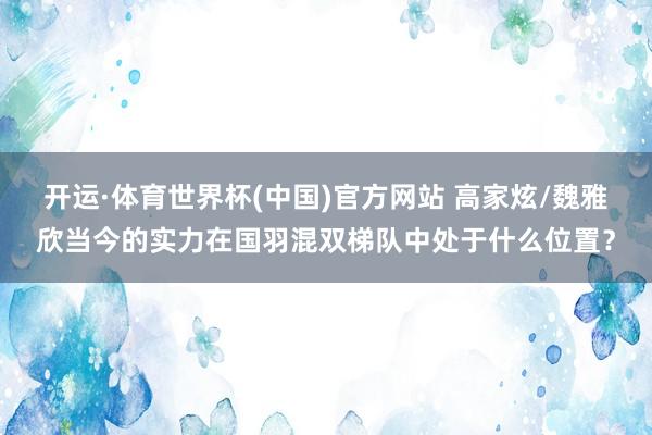开运·体育世界杯(中国)官方网站 高家炫/魏雅欣当今的实力在国羽混双梯队中处于什么位置?