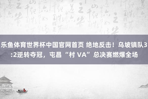 开运体育世界杯中国官网首页 绝地反击!乌坡镇队3:2逆转夺冠,屯昌 “村 VA” 总决赛燃爆全场