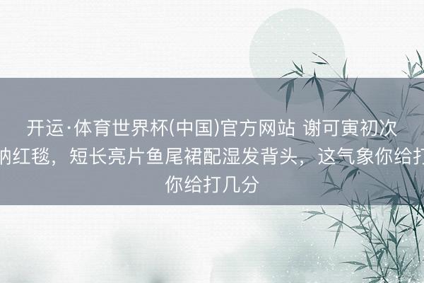 开运·体育世界杯(中国)官方网站 谢可寅初次走戛纳红毯,短长亮片鱼尾裙配湿发背头,这气象你给打几分