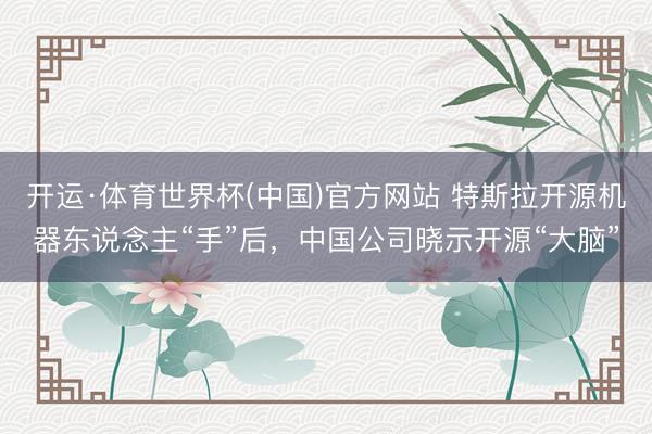 开运·体育世界杯(中国)官方网站 特斯拉开源机器东说念主“手”后,中国公司晓示开源“大脑”